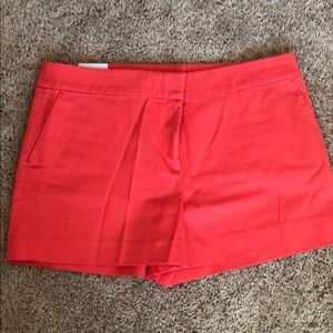 NWT Loft Riviera Short Sz 14